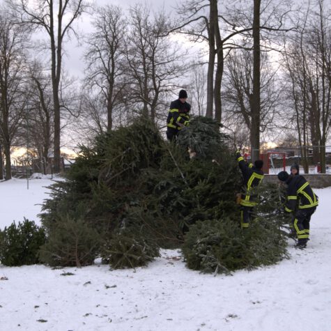 Weihnachtsbaumbrennen im Hofepark