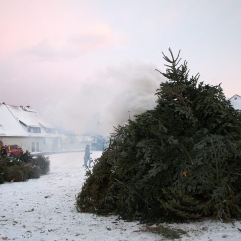 Weihnachtsbaumbrennen im Hofepark