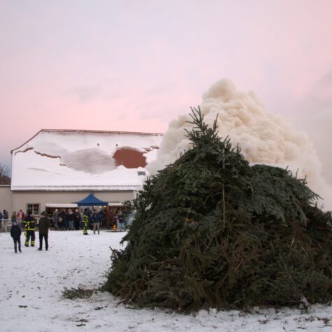 Weihnachtsbaumbrennen im Hofepark