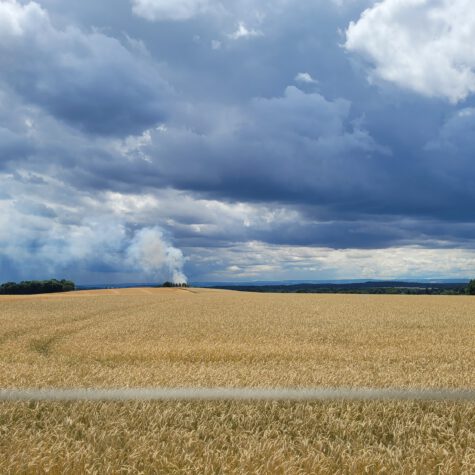 25_07_07_B2 Feld (2)