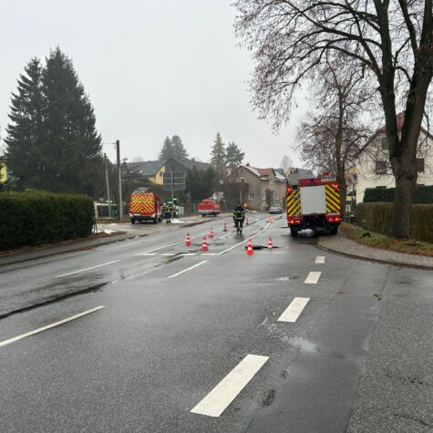 Ölspur im Hauswälder Bach